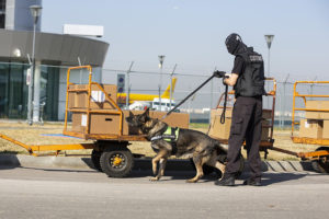 A potential illegal search and seizure in action.